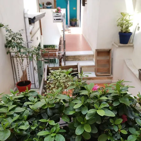 Apartamento Casuzzamia Palermo