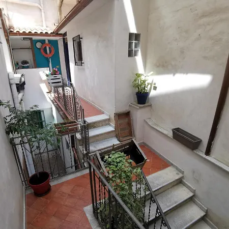 Casuzzamia Palermo