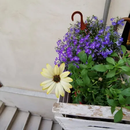 Apartamento Casuzzamia